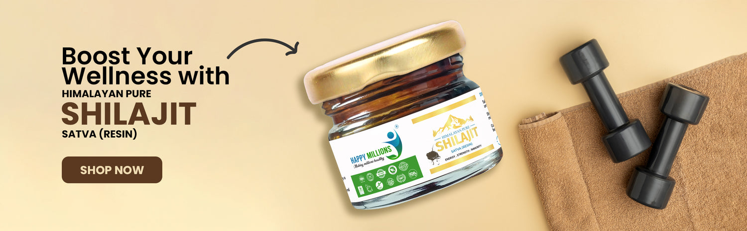 shilajeet capsule price in india