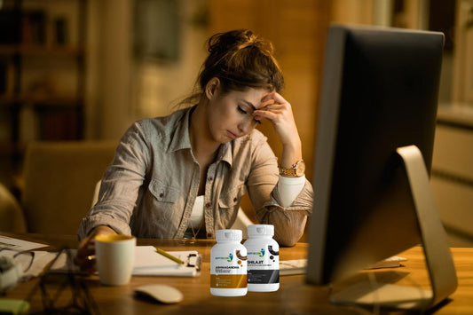 How Night Shift Workers Can Benefit from Ashwagandha Tablets and Shilajit Capsules