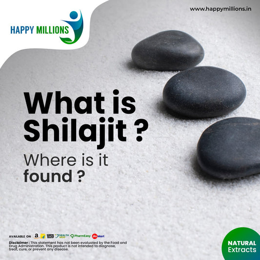 Shilajit: A Traditional Remedy for Health and Wellness