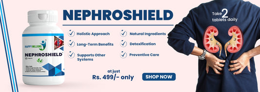 Why Choose Ayurvedic Kidney Supplements Over Conventional Medicine