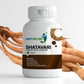 Ayurvedic Shatavari - Promotes Fertility & Hormone Balance